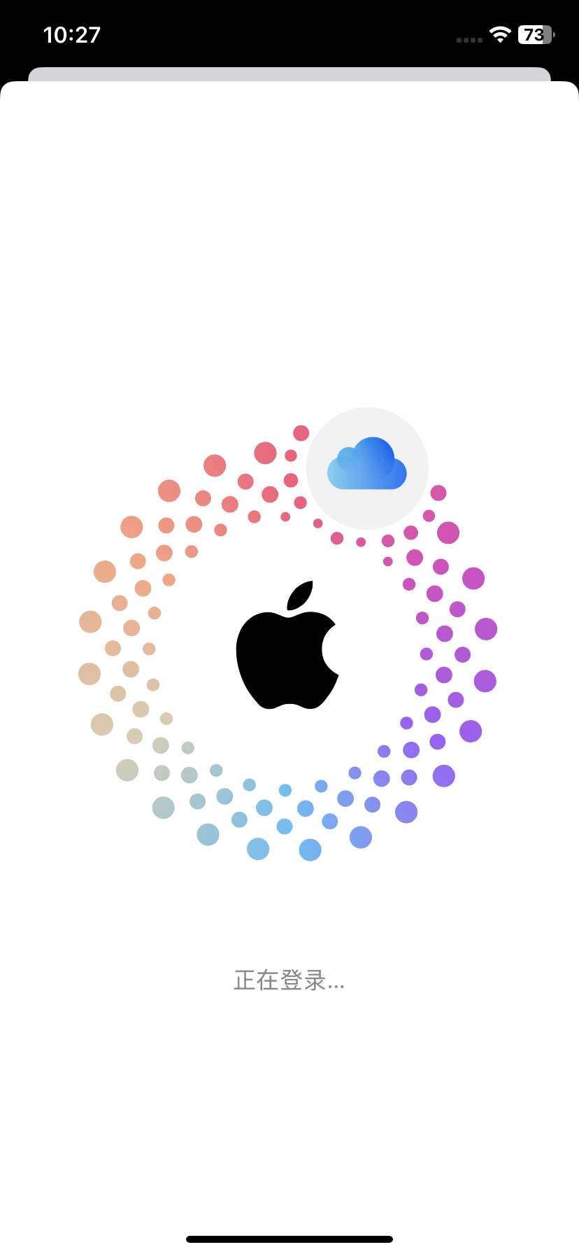 Apple ID 登录加载状态