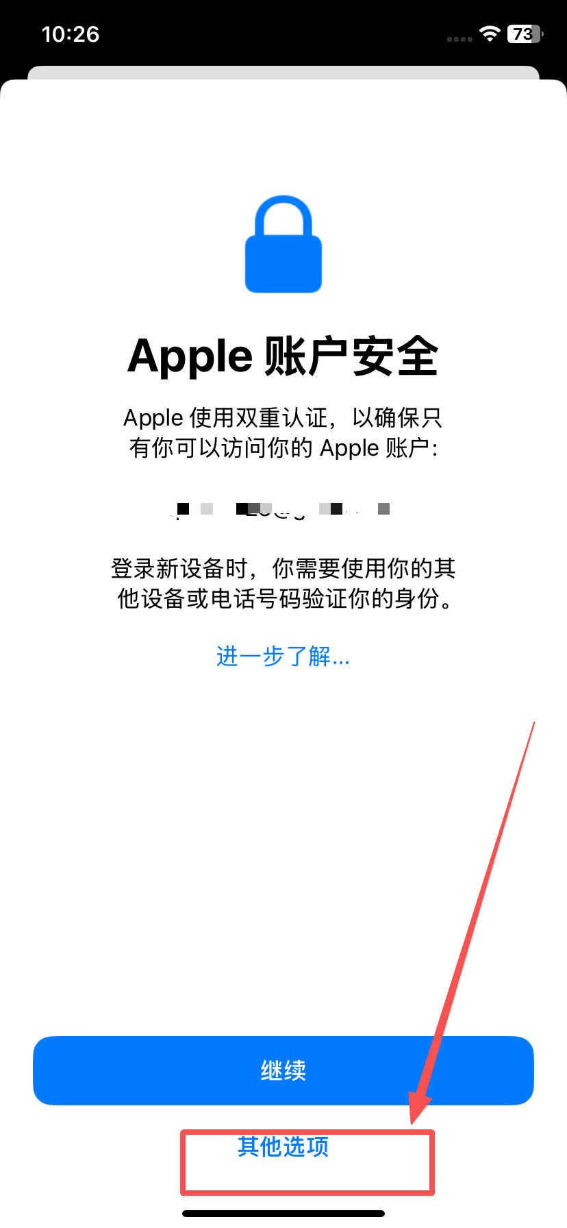 Apple 账户安全验证其他选项
